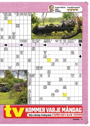 korsord-20251103_000_00_00_015.pdf