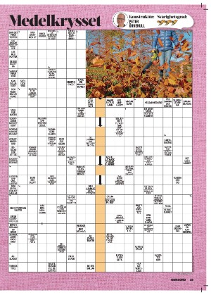 korsord-20251103_000_00_00_019.pdf