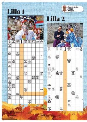 korsord-20251103_000_00_00_020.pdf