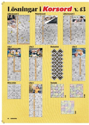 korsord-20251103_000_00_00_032.pdf