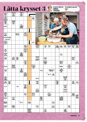 korsord-20251103_000_00_00_033.pdf