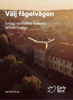 korsord-20251110_000_00_00_002.pdf