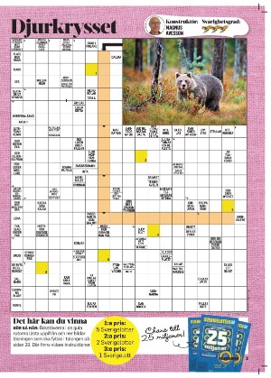 korsord-20251110_000_00_00_003.pdf