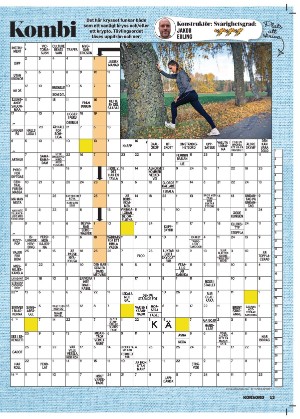 korsord-20251110_000_00_00_013.pdf