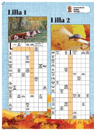 korsord-20251110_000_00_00_020.pdf