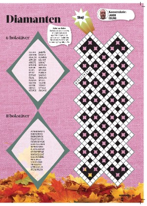 korsord-20251110_000_00_00_021.pdf