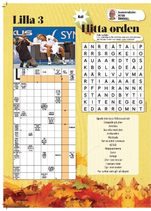 korsord-20251110_000_00_00_022.pdf