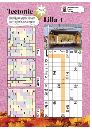 korsord-20251110_000_00_00_023.pdf