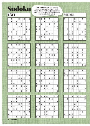 korsord-20251110_000_00_00_024.pdf