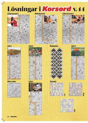 korsord-20251110_000_00_00_032.pdf