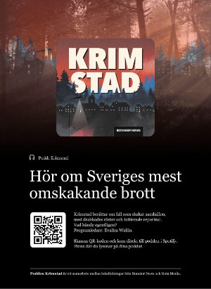 korsord-20251117_000_00_00_002.pdf