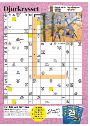 korsord-20251117_000_00_00_003.pdf