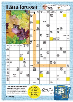 korsord-20251117_000_00_00_004.pdf