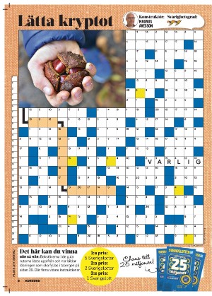 korsord-20251117_000_00_00_008.pdf