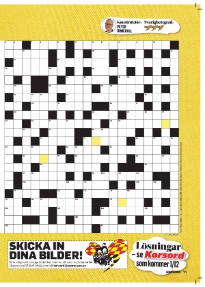 korsord-20251117_000_00_00_011.pdf