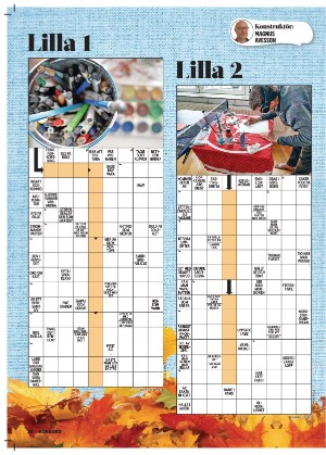 korsord-20251117_000_00_00_020.pdf