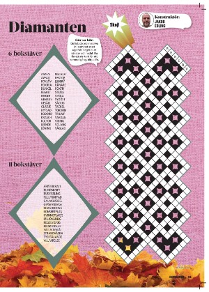 korsord-20251117_000_00_00_021.pdf