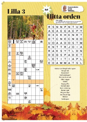 korsord-20251117_000_00_00_022.pdf