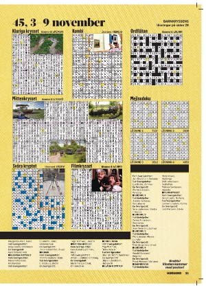 korsord-20251117_000_00_00_031.pdf