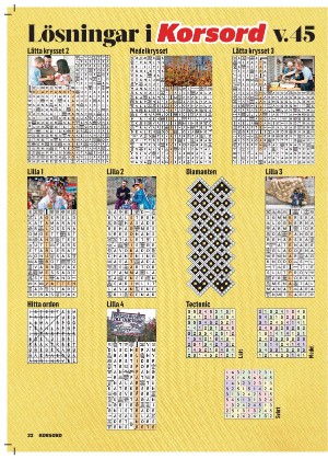 korsord-20251117_000_00_00_032.pdf