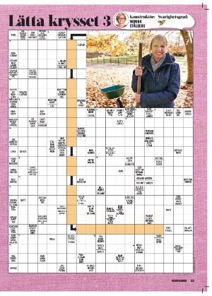 korsord-20251117_000_00_00_033.pdf