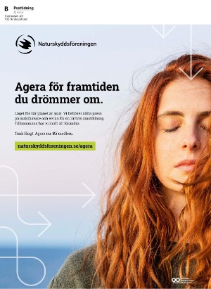 korsord-20251117_000_00_00_036.pdf