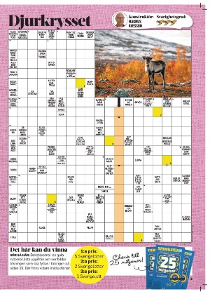 korsord-20251124_000_00_00_003.pdf