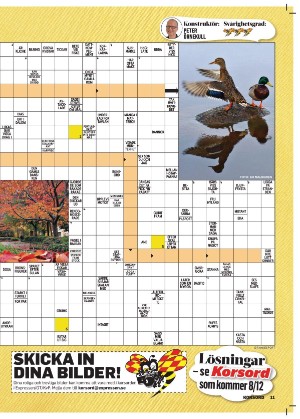 korsord-20251124_000_00_00_011.pdf