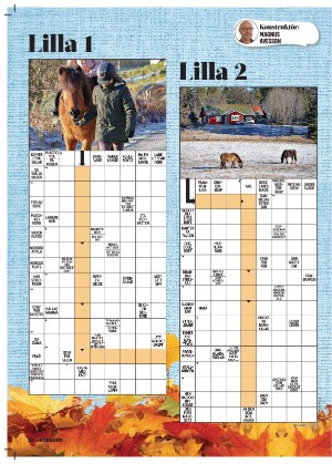 korsord-20251124_000_00_00_020.pdf