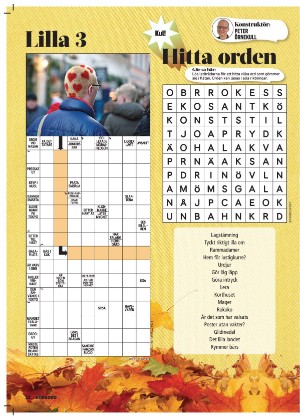 korsord-20251124_000_00_00_022.pdf