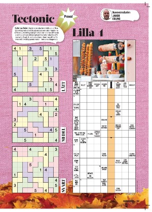 korsord-20251124_000_00_00_023.pdf