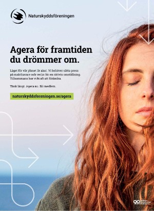 korsord-20251124_000_00_00_035.pdf