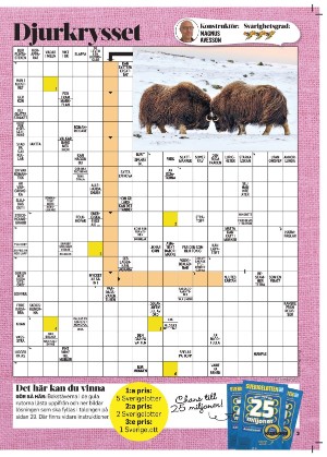 korsord-20251201_000_00_00_003.pdf