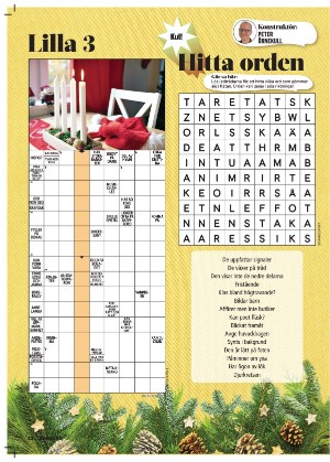 korsord-20251201_000_00_00_022.pdf