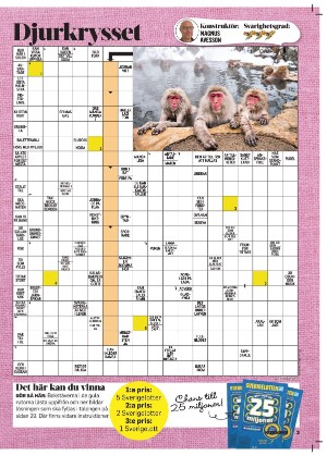 korsord-20251208_000_00_00_003.pdf