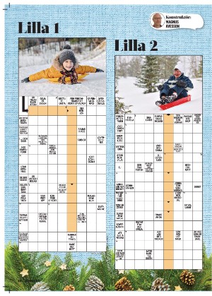 korsord-20251208_000_00_00_020.pdf