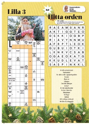 korsord-20251208_000_00_00_022.pdf