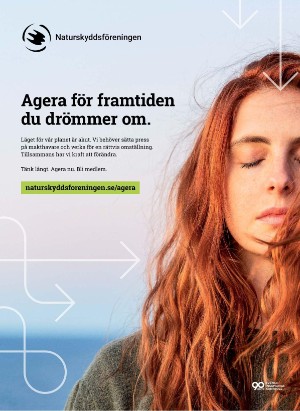 korsord-20251208_000_00_00_035.pdf