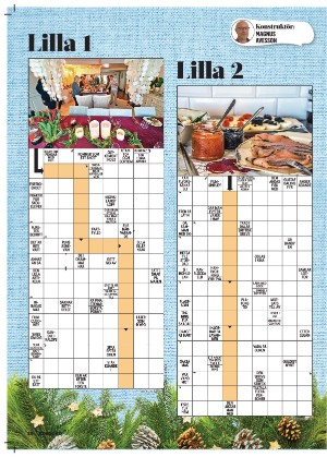 korsord-20251222_000_00_00_020.pdf