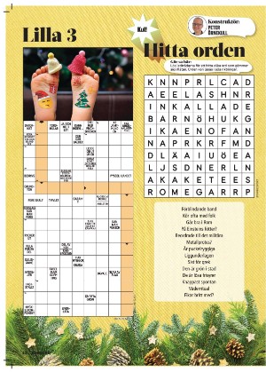 korsord-20251222_000_00_00_022.pdf