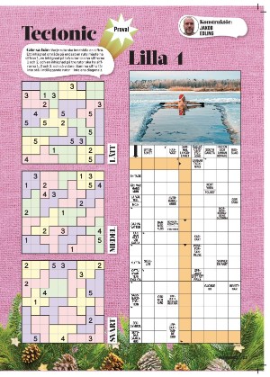 korsord-20251222_000_00_00_023.pdf