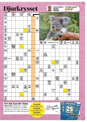 korsord-20260302_000_00_00_003.pdf