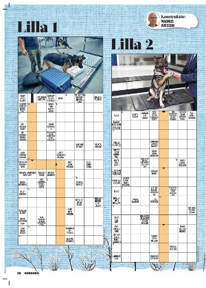 korsord-20260302_000_00_00_020.pdf