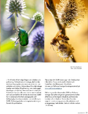 kulturnytt-20220408_014_00_00_033.pdf