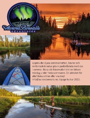 kulturnytt-20220729_030_00_00_016.pdf