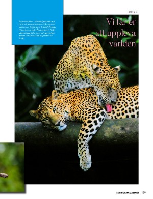 kulturnytt-20220928_009_00_00_139.pdf