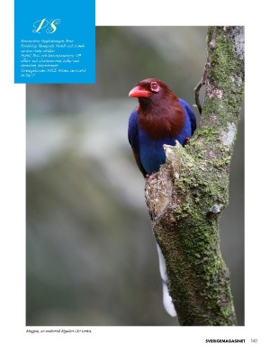 kulturnytt-20220928_009_00_00_141.pdf