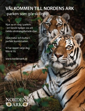 kulturnytt-20221118_046_00_00_017.pdf