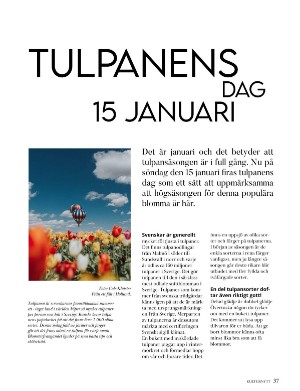 kulturnytt-20230113_002_00_00_037.pdf