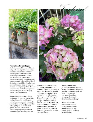 kulturnytt-20230616_024_00_00_045.pdf